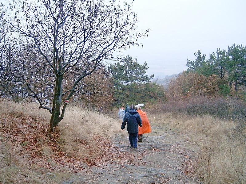 20111210 092.jpg